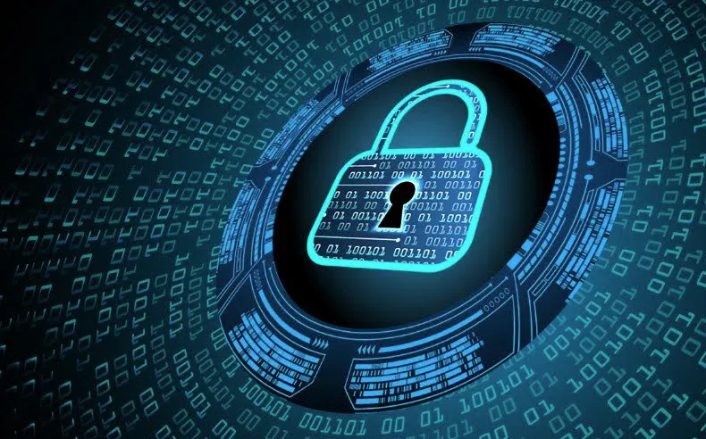 Política de Privacidade | wDISCOVER