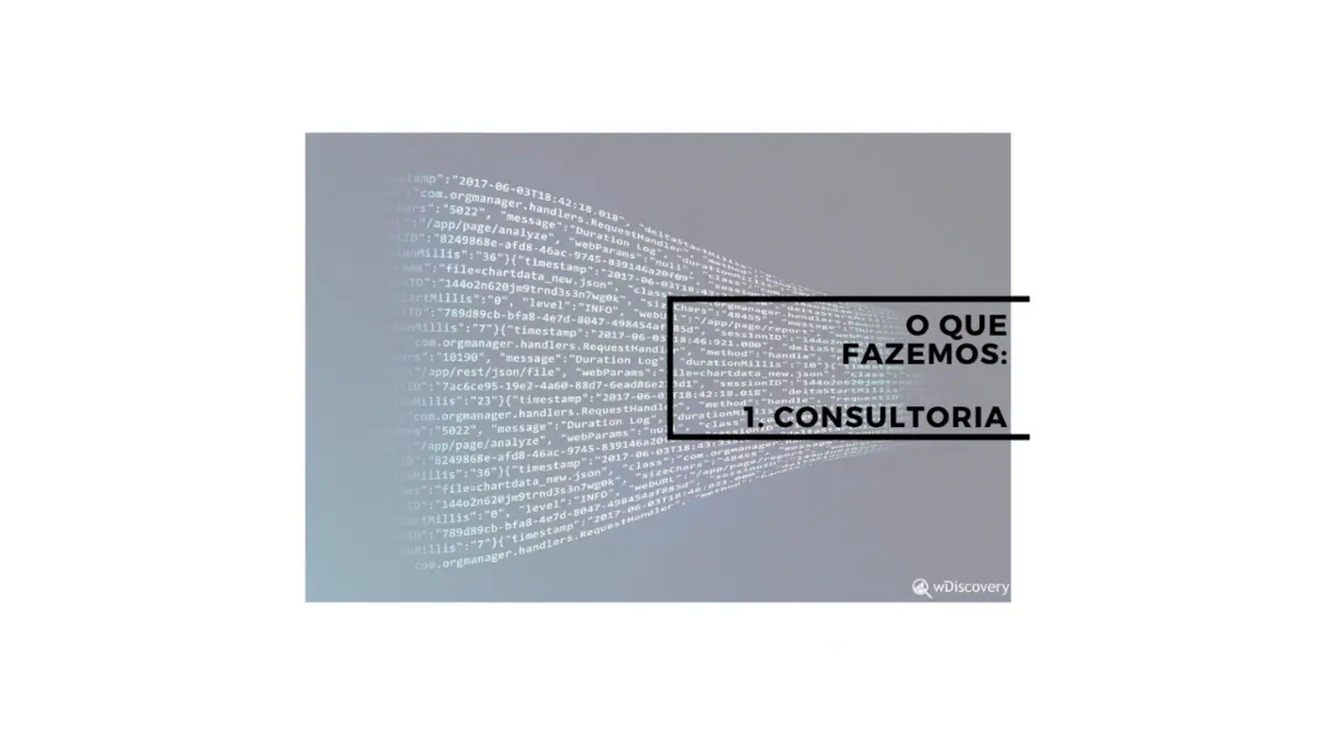 O que fazemos? 1. Consultoria